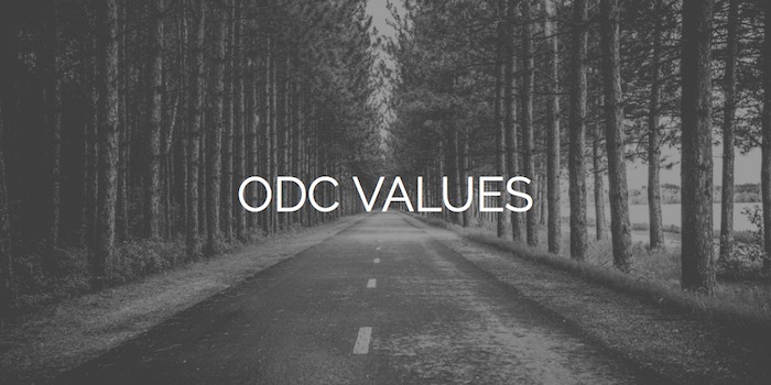 Open Door Church Values